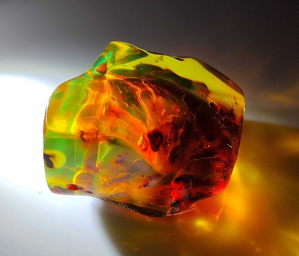 多米尼加琥珀！！ AAA 级别 - 165 克拉- 33 g #1.0