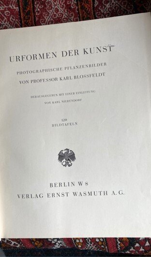 Karl Blossfeldt - Urformen der Kunst - 1928 #3.2