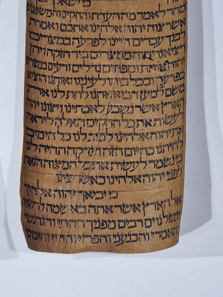 antique Torah scroll, a handwritten on leather - 1800 #4.3