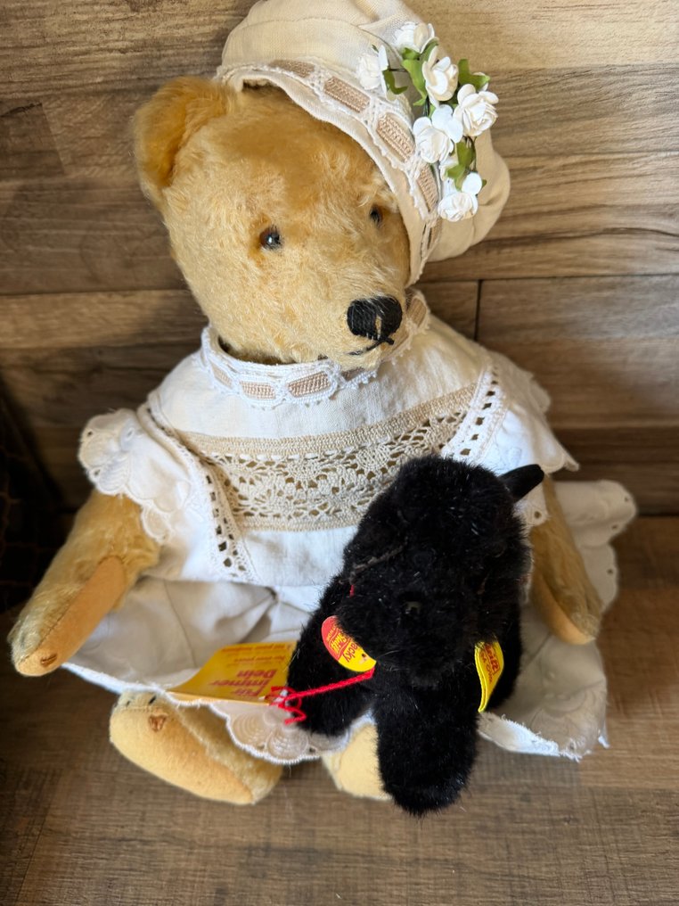Steiff - 玩具熊 Ancien steiff - 1940-1950 - 德国 #1.0
