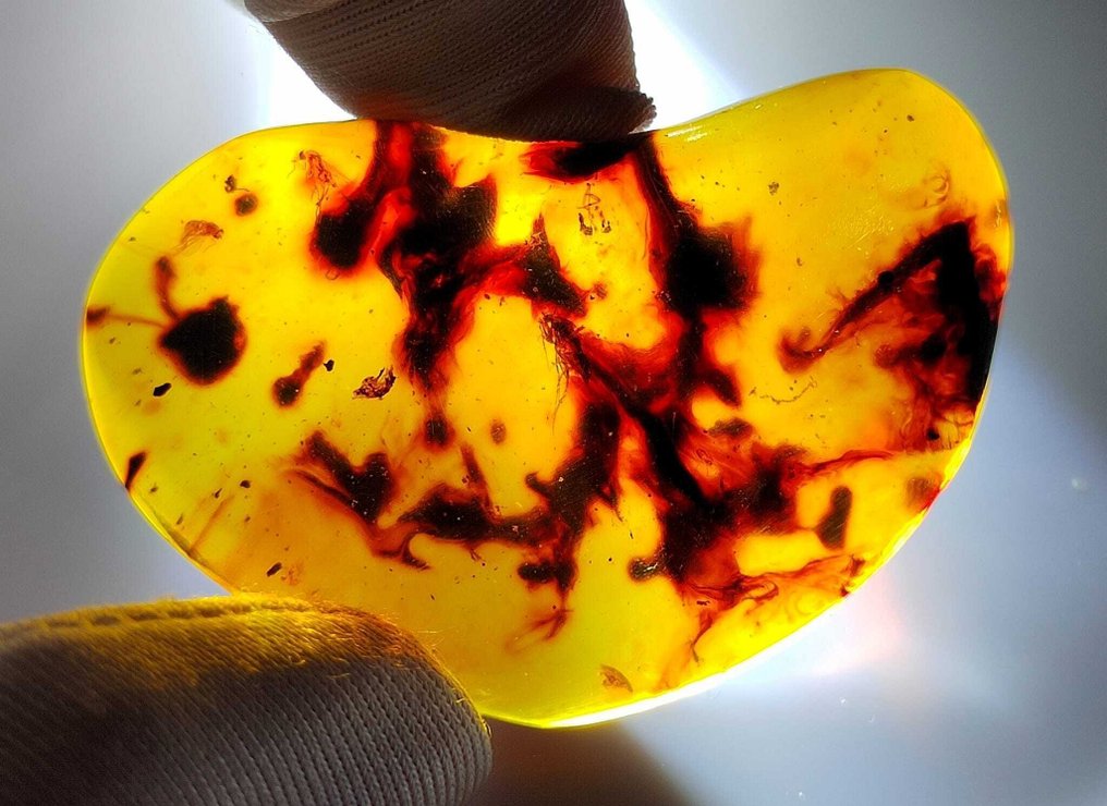 FOSSIL-AMAZING!! Dominican amber-70 cts- 14 g #1.0