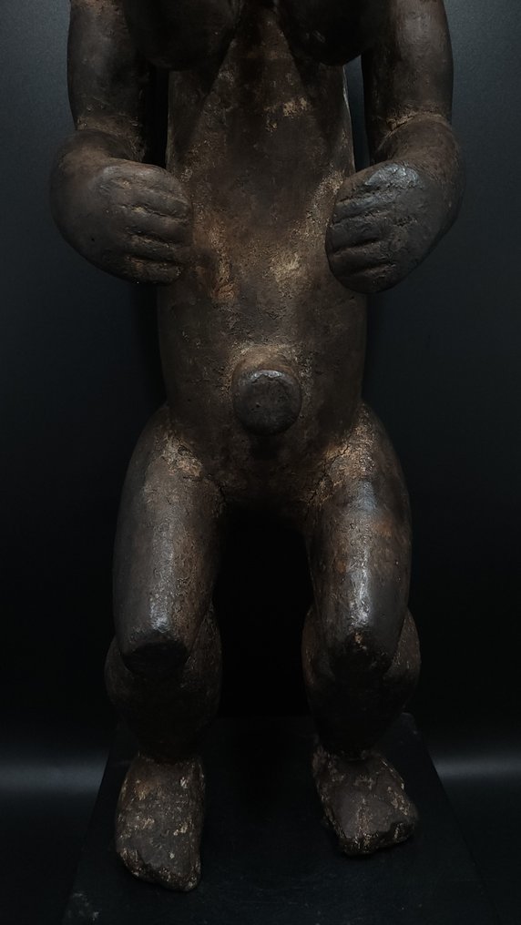 华丽的圣物箱守护者 - Fang - 加蓬 (没有保留价) #4.3