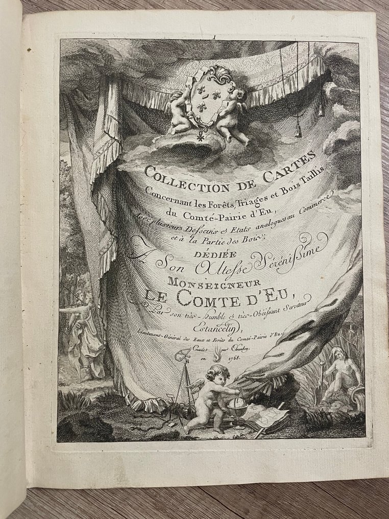 Comte-Pairre d'Eu - Collection de Cartes concernant les Forêts, Triages et Bois-Taillis du Comte-Pairre d'Eu - 1768-1768 #1.0