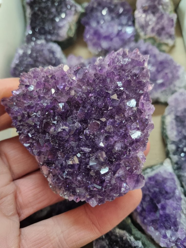 Big Lot HQ URUGUAY AMETHYST CLUSTERS 12,5 - 4 cm Cluster de cristal- 1.21 kg #4.3