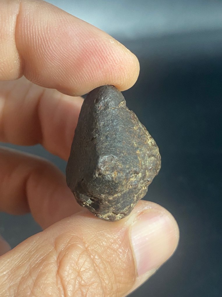 Classified NWA meteorite XXX (No reserve price) !! - 77 g - (3) #2.1