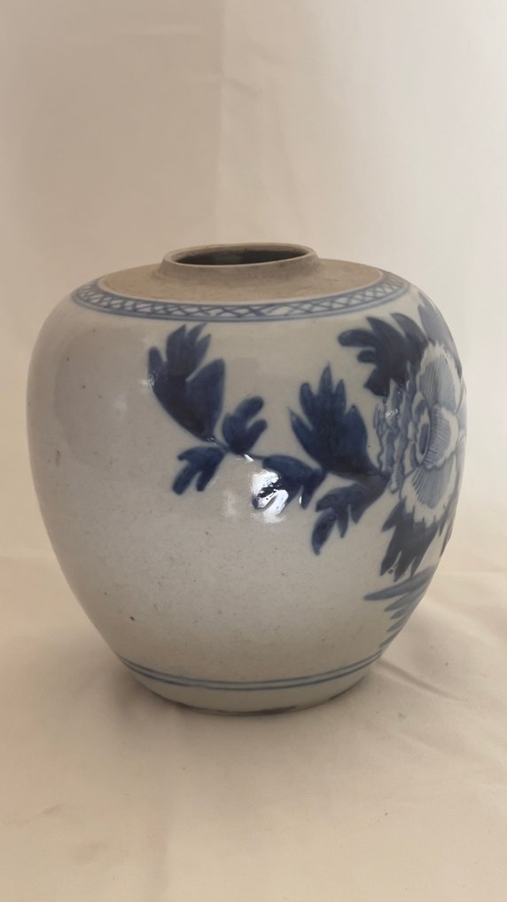 Pata - Posliini - Qing-dynastian sinivalkoinen #4.3