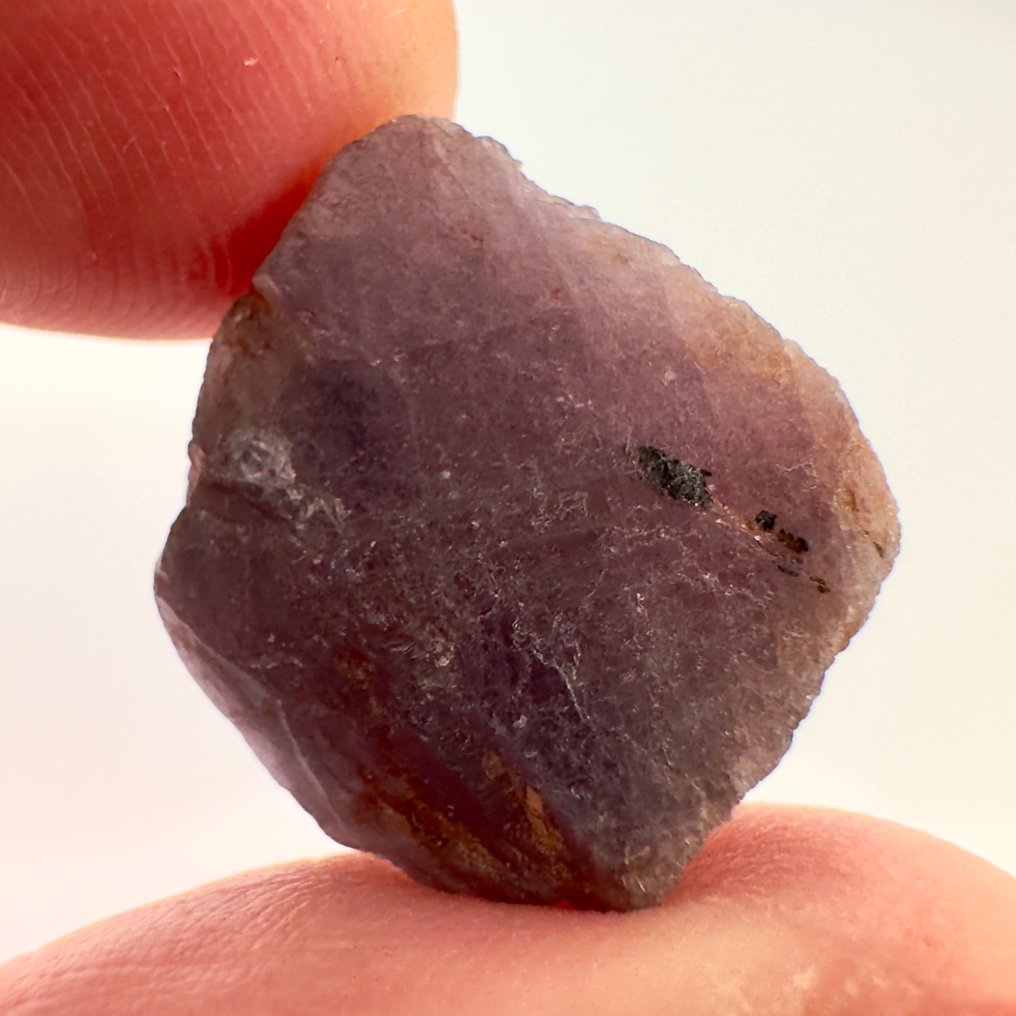 蓝宝石 粗糙 - 高度: 16 mm - 宽度: 16 mm- 5.34 g - (1) #1.0