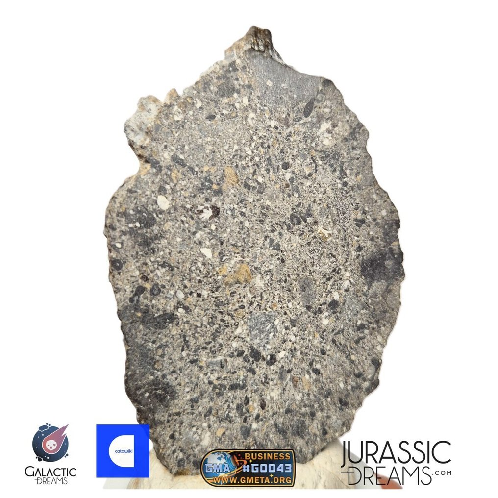 "NWA 17660" Eucrite Polymict HED Achondrite Meteorite Slice 14,61g HED Achondrite - Eucrite Polymict - 14.61 g #4.3