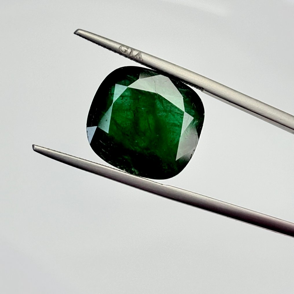 1 pcs  绿色 祖母绿  - 16.35 ct - 国际宝石研究院（IGI） - 天然翡翠 #1.0