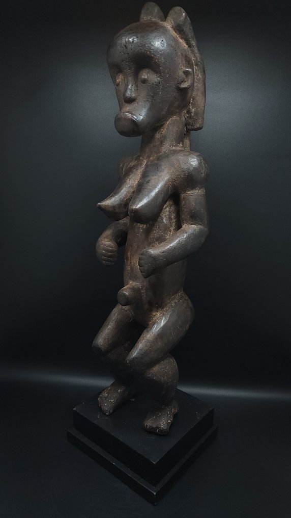 华丽的圣物箱守护者 - Fang - 加蓬 (没有保留价) #2.1