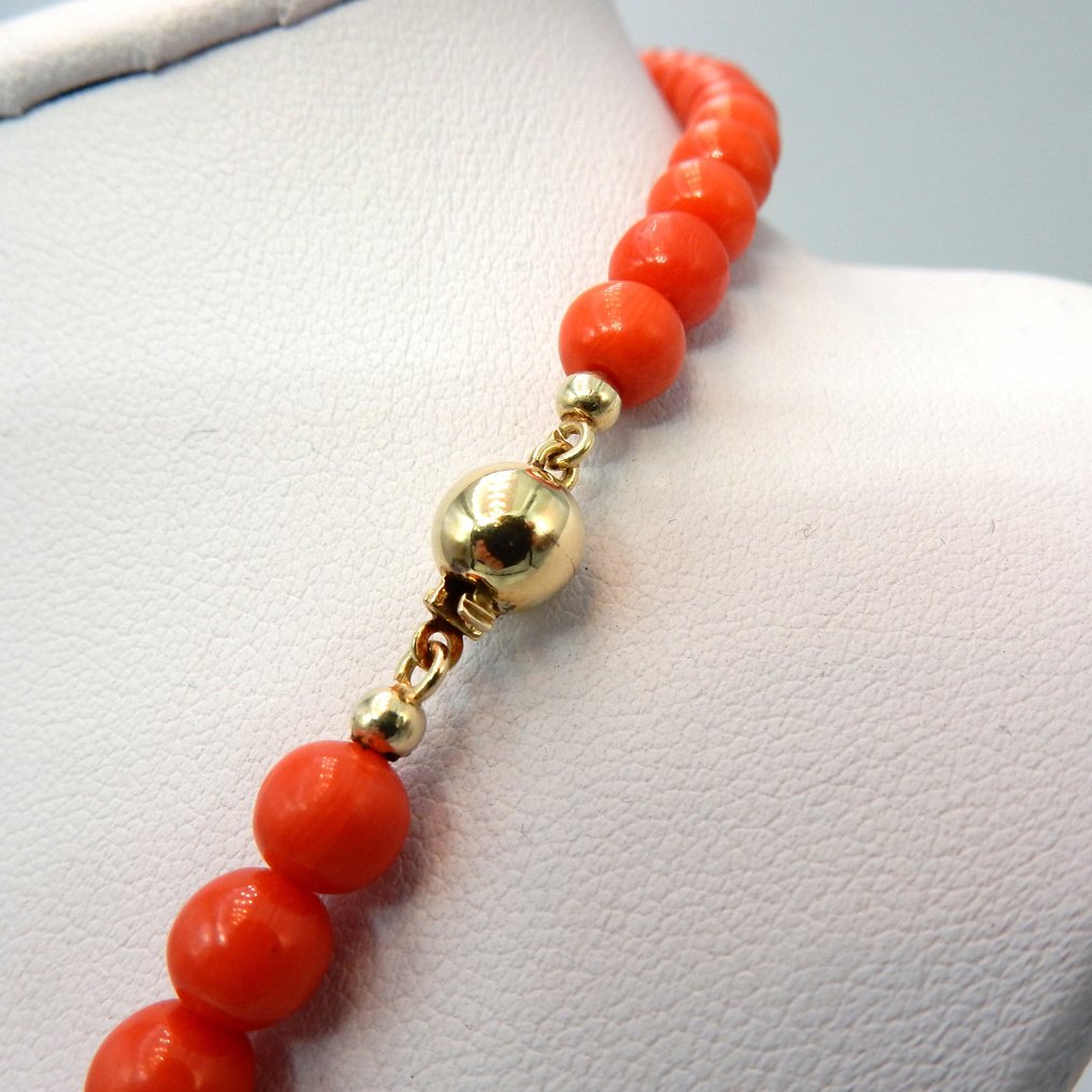 χωρίς τιμή ασφαλείας - Κολιέ - 14 καράτια Κίτρινο χρυσό Κοράλλι αίματος - 6 mm αιματηρά σφαιρίδια. #4.3