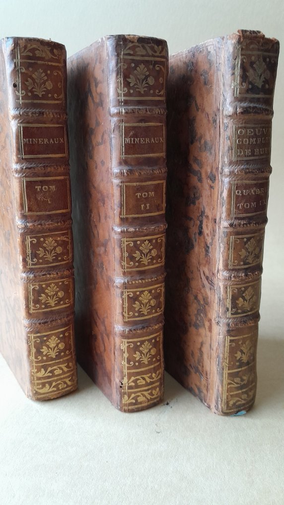 Comte de Buffon - Oeuvres complètes: Tome 9, les quadrupèdes / Tomes 1 et 2 les minéraux - 1777-1783 #1.0