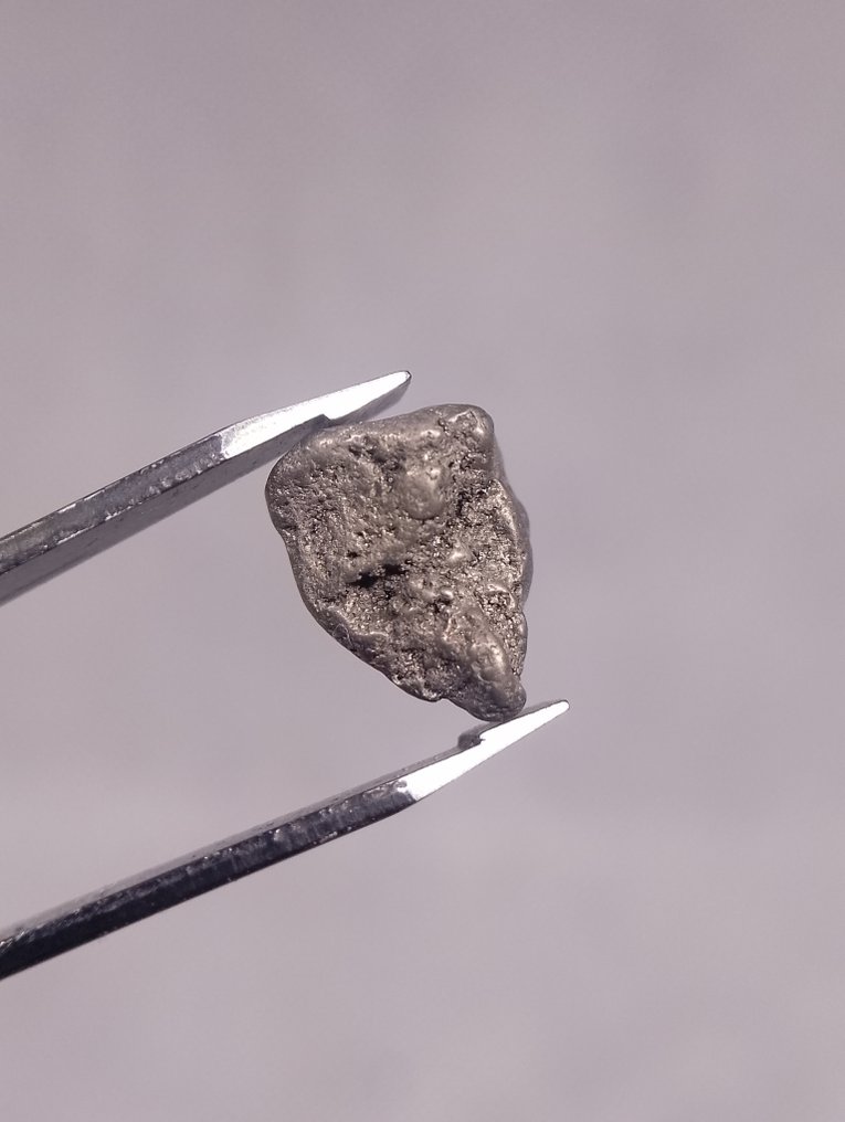 Πλατίνα Ψήγμα - Ύψος: 12 mm - Πλάτος: 7 mm- 1.3 g #2.1