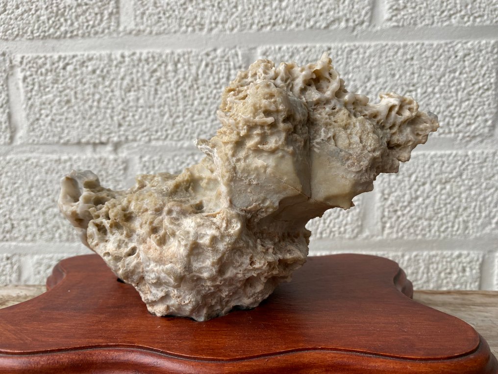 Suiseki - mid-20th century (No reserve price) #1.0