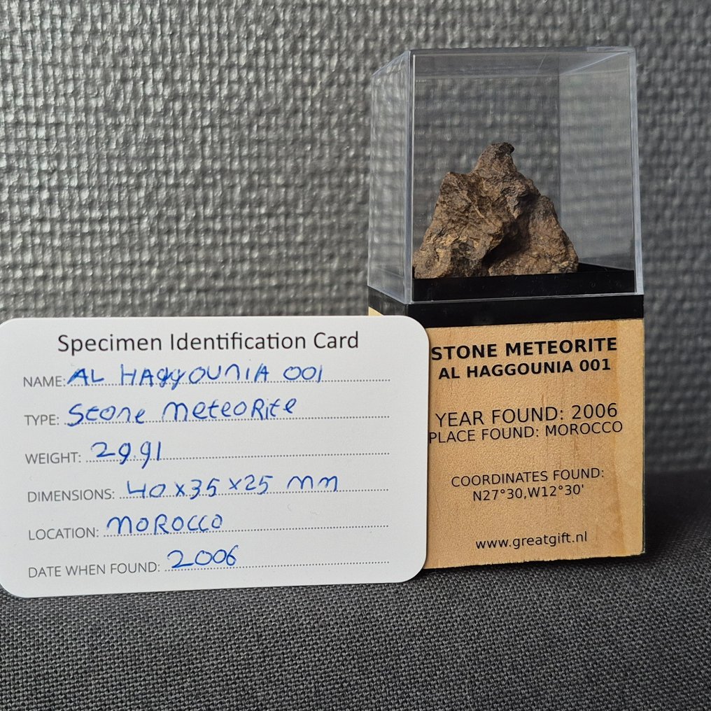 Al Haggounia 001-meteorit - Chrondiet meteoriten - På standard - Höjd: 40 mm - Bredd: 35 mm - 29.91 g - (1) #1.0