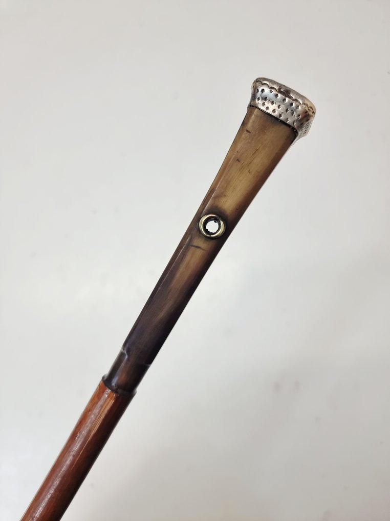 Walking stick - Horn, Bamboo #4.3