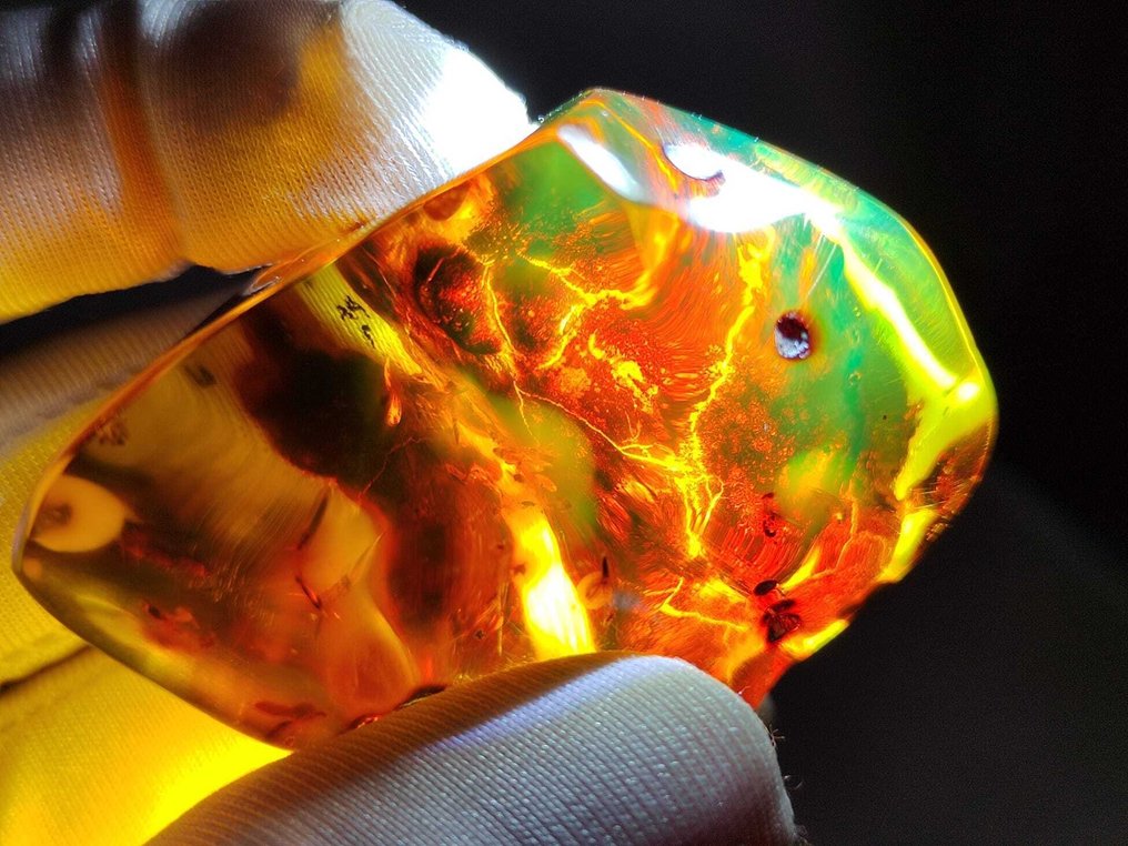 多米尼加琥珀！！ AAA 级别 - 165 克拉- 33 g #3.2