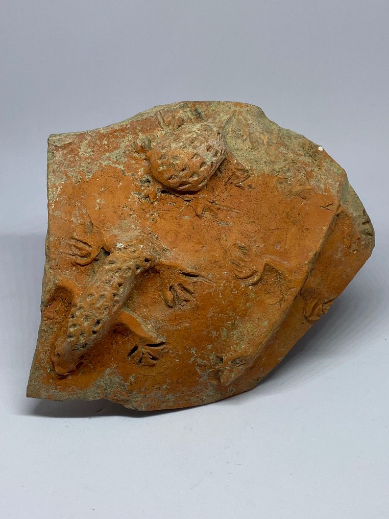 Ancient Roman Terracotta Amphora, Ancient Roman Terracotta Vessel Fragment with Stylised Amphibian Motifs #1.0