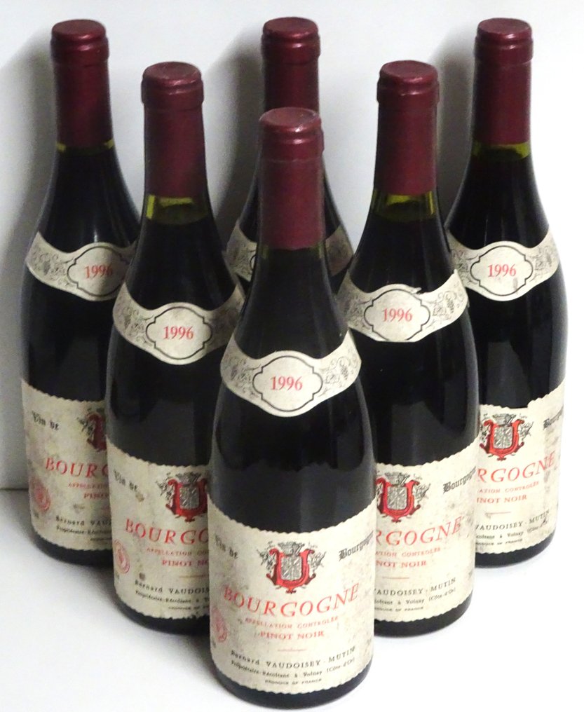 1996 Bernard Vaudoisey-Mutin - Bourgogne Pinot Noir - 6 Bottles (0.75L) #1.0