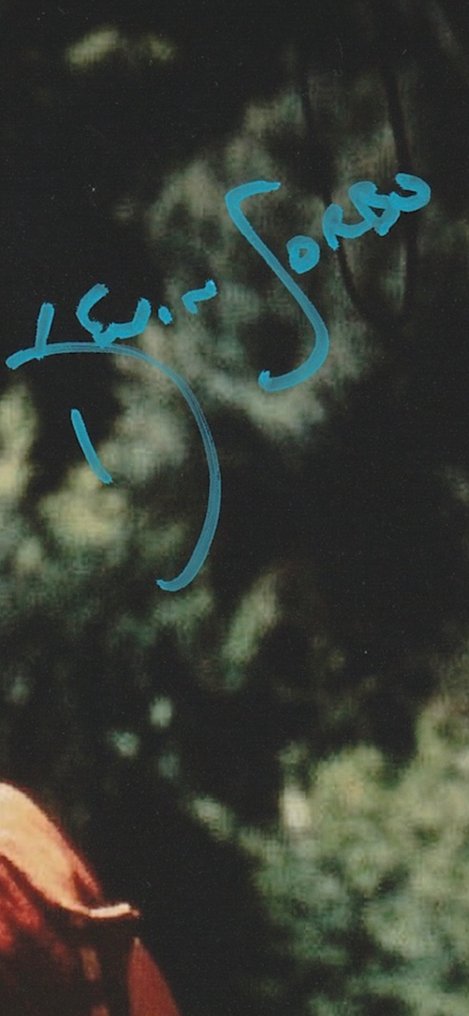 Hercules - Signed by Kevin Sorbo (Hercules) #4.3