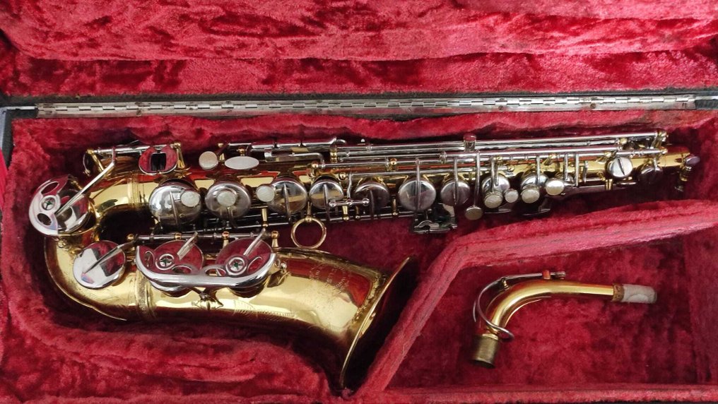 Ida Maria Grassi - Professional ns 43693 -  - 中音萨克斯管 - 意大利 #1.0