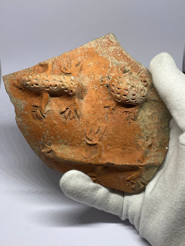 Ancient Roman Terracotta Amphora, Ancient Roman Terracotta Vessel Fragment with Stylised Amphibian Motifs #1.0