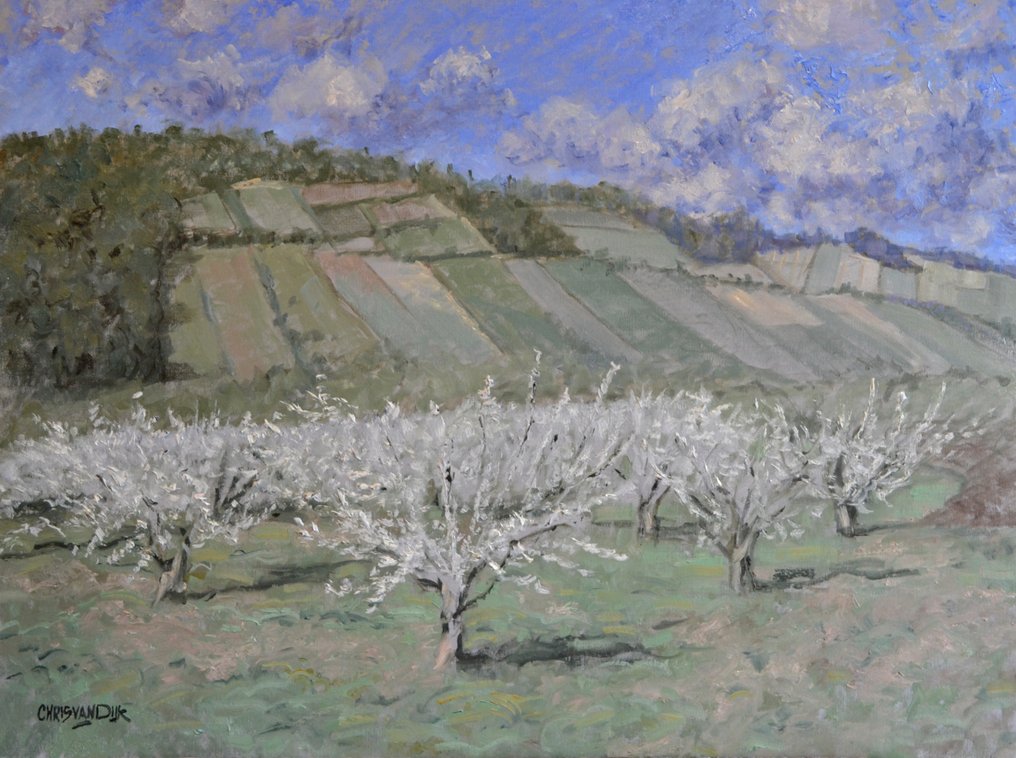 Chris van Dijk (1952) Impressionist - "Verger en Bourgogne " #1.0
