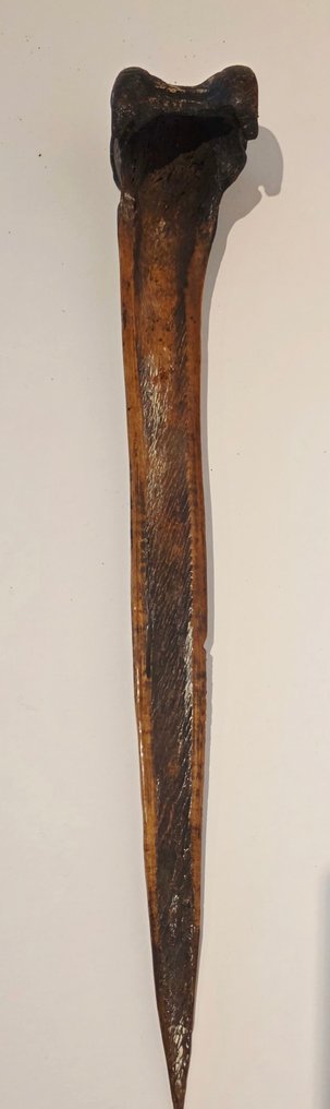 Adaga - Sepik - Papua Nova Guiné #3.2