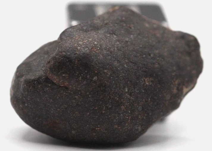 NWA 15341, einer von vier Meteoriten, die jemals als CO3-anomalischer karbonatischer Meteoriten Kohlenstoffhaltiger Chondritmeteorit - 5.36 g - (1) #1.0