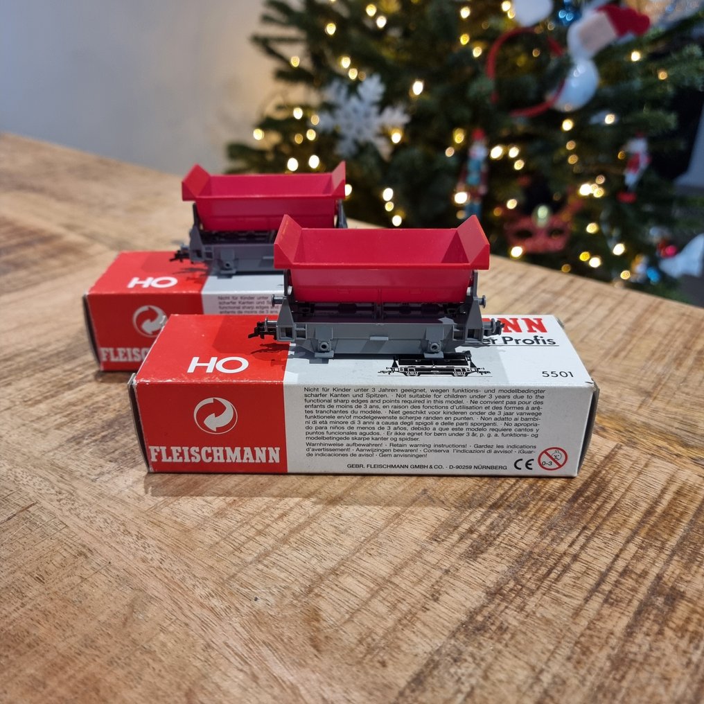 Fleischmann H0 - 5501 - 模型火車 (2) - 包含在原始包装中；一套两个倾斜车；状态明显良好，没有明显损坏。 #1.0