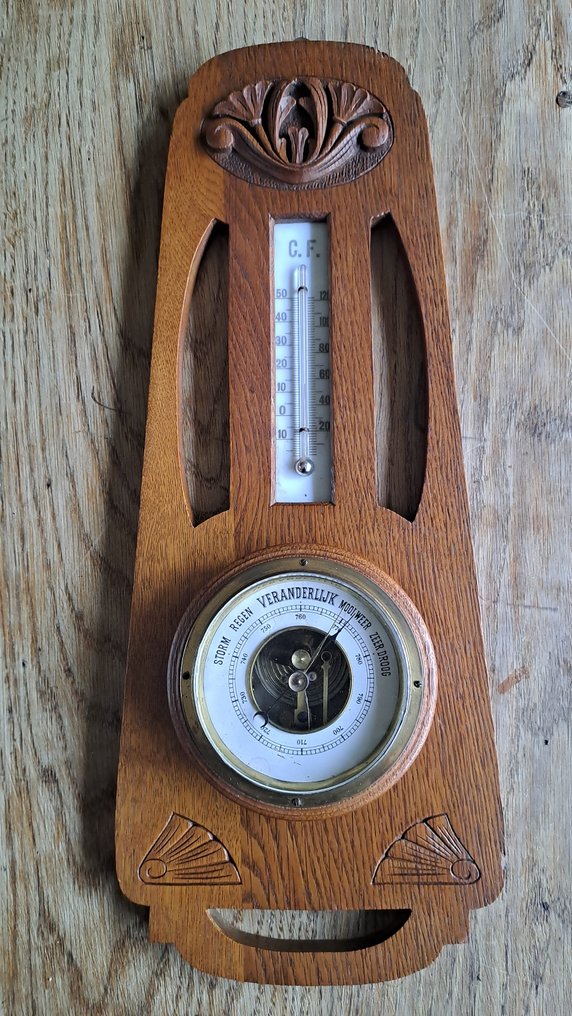 Stație meteo - Eikenhout #1.0