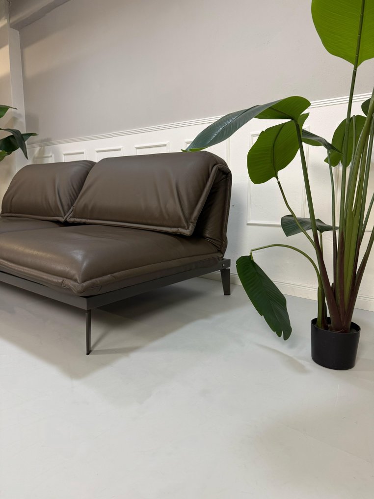 Rolf Benz - Sofa - Nova - Leather #2.1
