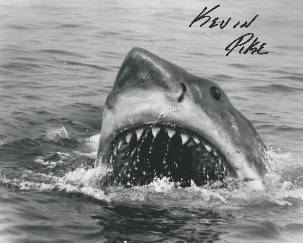 Jaws - Signed by Kevin Pike (S/F/X) #1.0