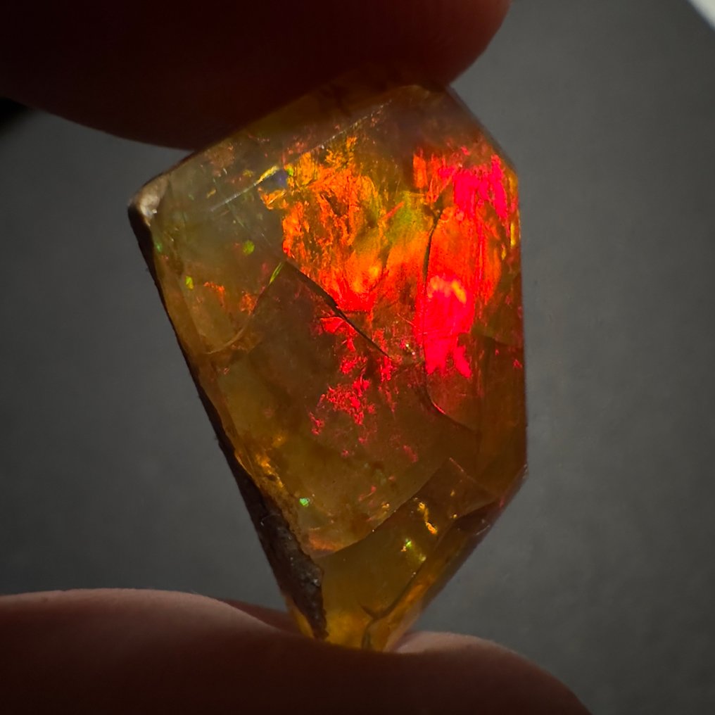 Ingen reservasjonspris - 1 pcs  Opal  - 7.00 ct - Ingen laboratorierapport #2.1