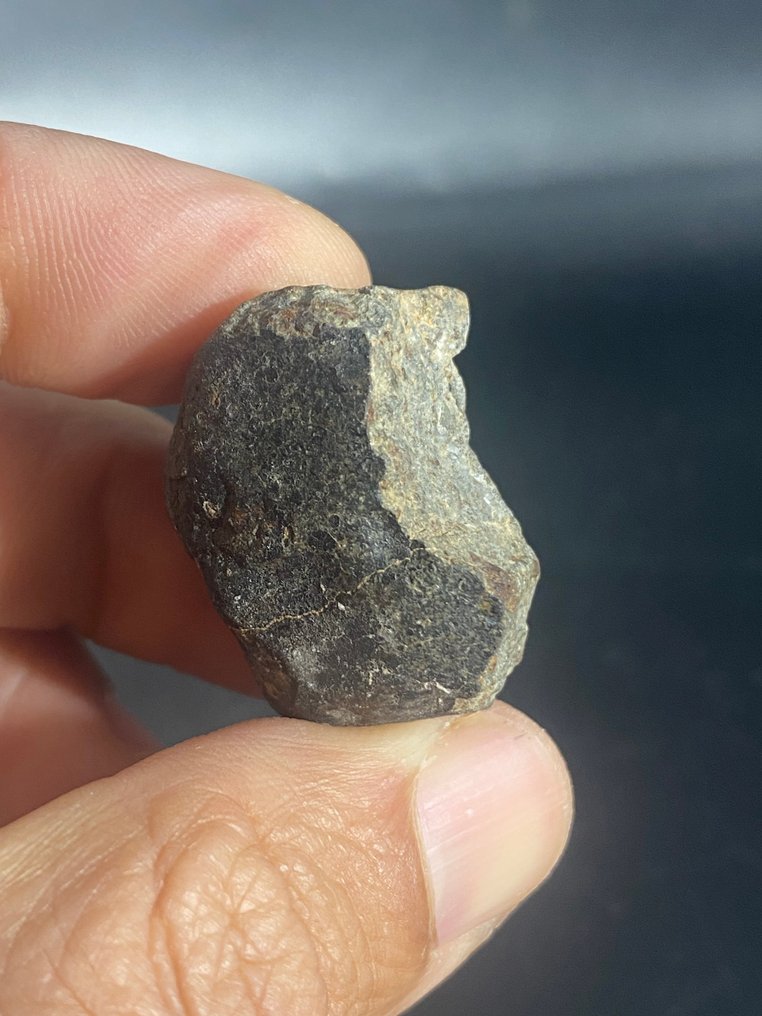 Classified NWA meteorite XXX (No reserve price) !! - 77 g - (3) #3.2