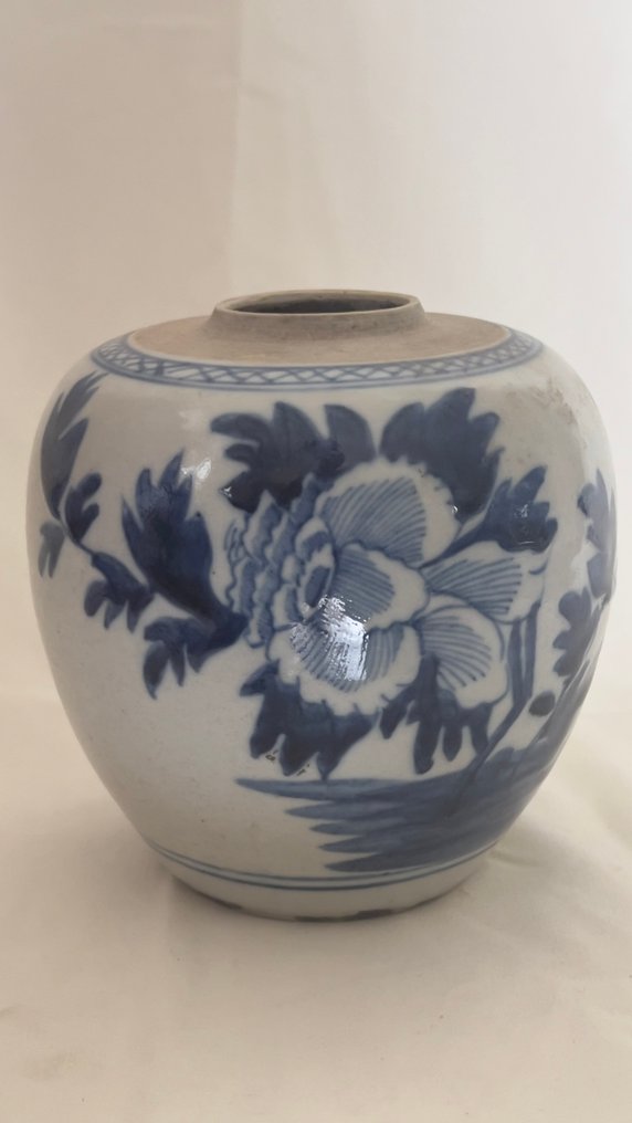 Pata - Posliini - Qing-dynastian sinivalkoinen #3.2