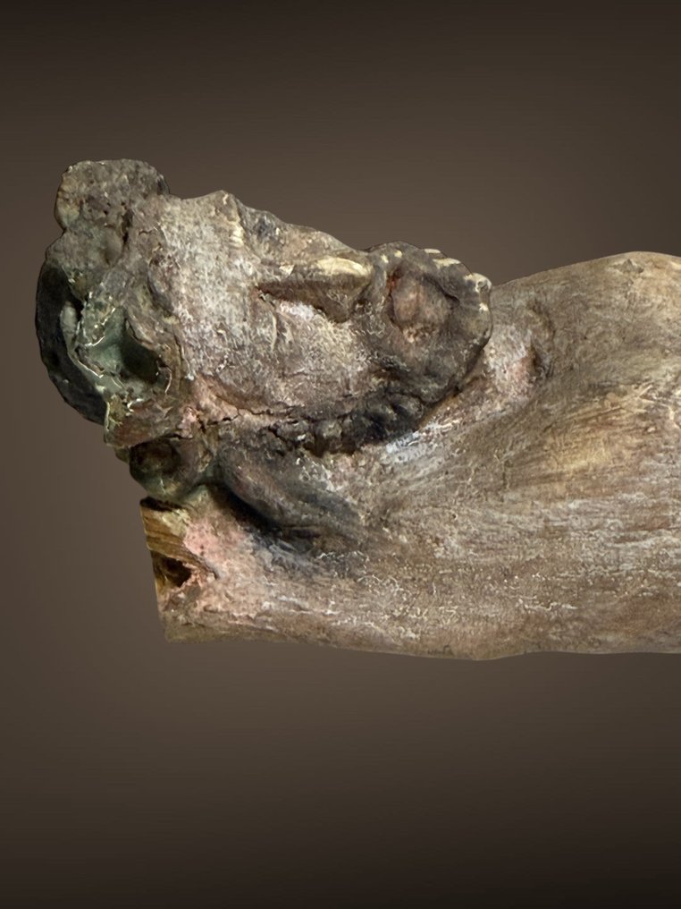 Szobor, Corpus Christi - 18e eeuw - 36 cm - Fa - 1750 #1.0