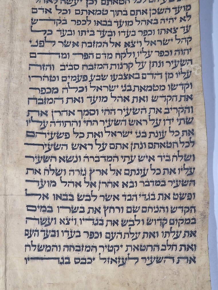 antique Torah scroll, a handwritten on leather - 1800 #3.2