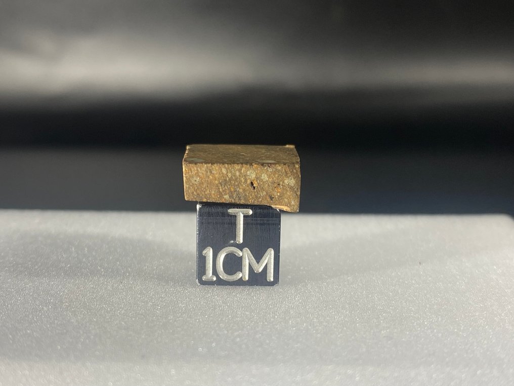 Rarissima Rumuruti Mederdra chondrite（R4-5） 没有保留价格！！ - 3.4 g - (1) #2.1