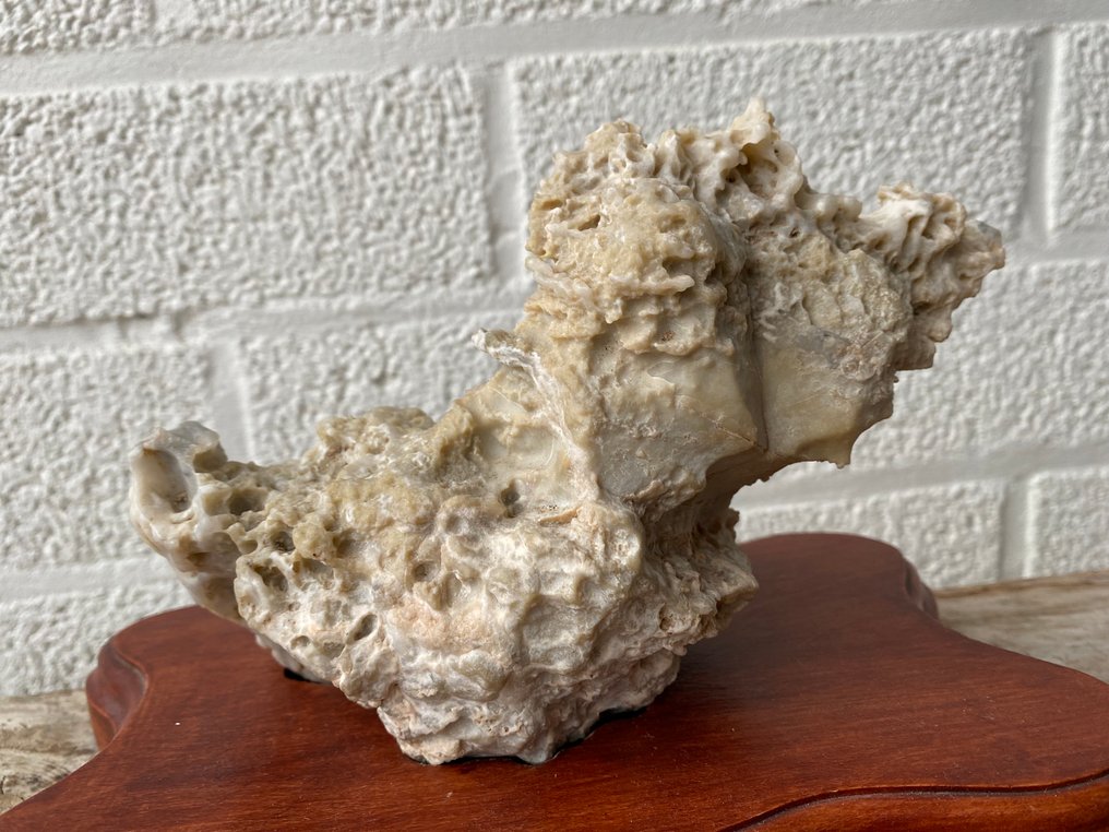 Suiseki - mid-20th century (No reserve price) #4.3