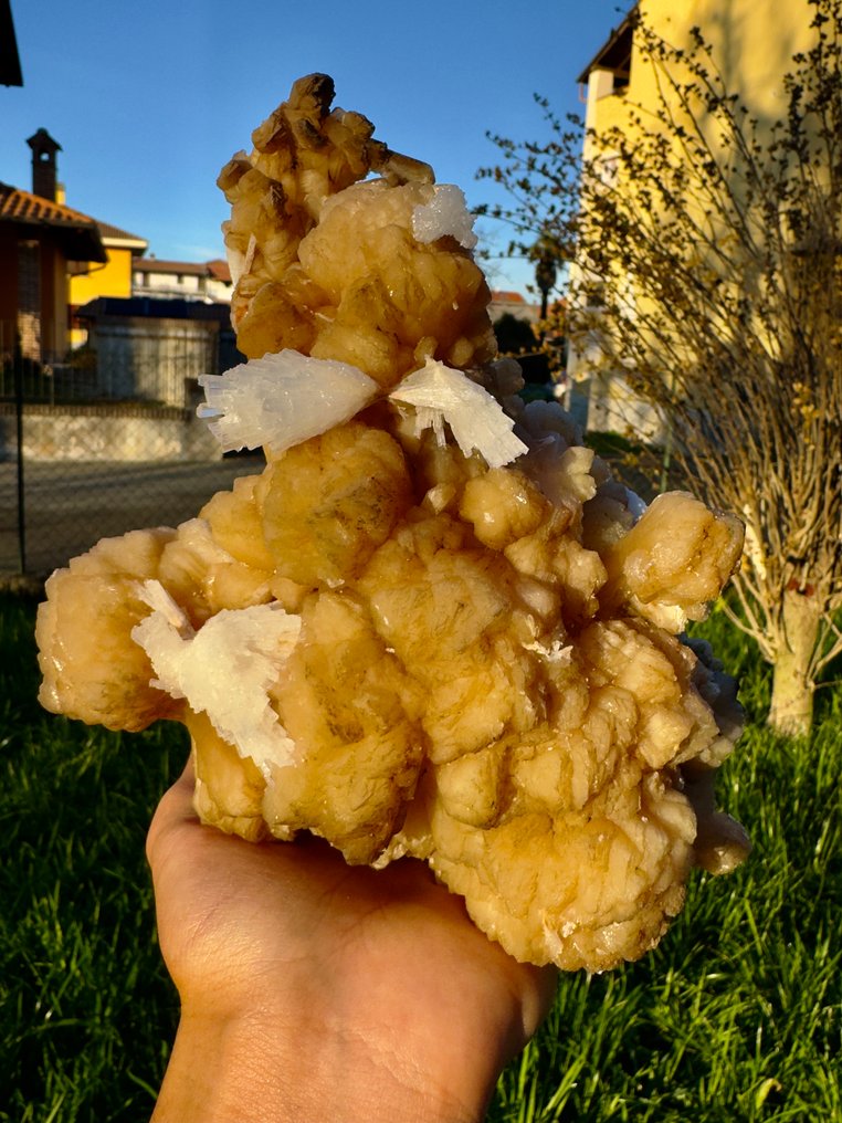 Εκπληκτικά ανθούρια Mesolite πάνω σε πορτοκαλί Stilbite. Κρίσταλ στη μήτρα - Ύψος: 17 cm - Πλάτος: 17 cm- 1525 g - (1) #1.0