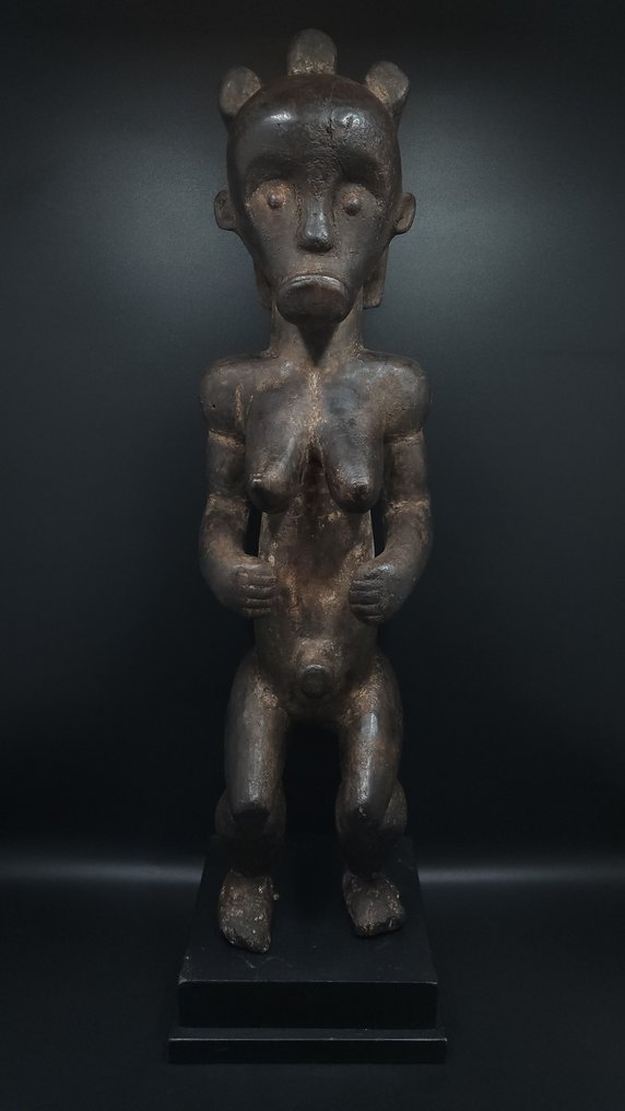 华丽的圣物箱守护者 - Fang - 加蓬 (没有保留价) #1.0