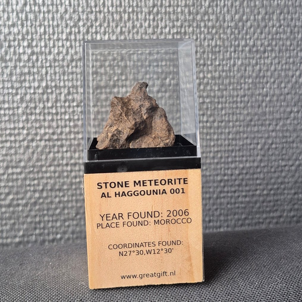 Al Haggounia 001-meteorit - Chrondiet meteoriten - På standard - Höjd: 40 mm - Bredd: 35 mm - 29.91 g - (1) #1.0