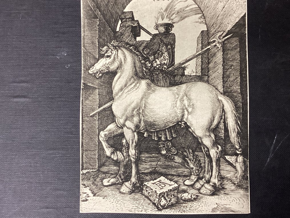 Albrecht Durer (1471-1528), after - The Small Horse #2.1