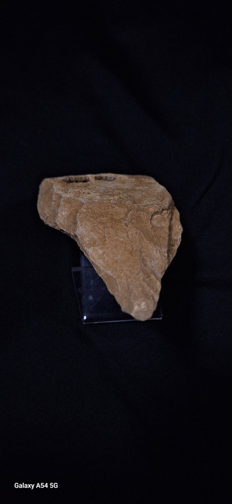 Παλαιολιθική Πέτρα Βιφάς στυλ μικοκιουέν τύπου Μουστέριαν από μια ιδιωτική συλλογή αρχαιολογίας από τον βόρειο Γαλλία. - 120 mm (χωρίς τιμή ασφαλείας) #3.2