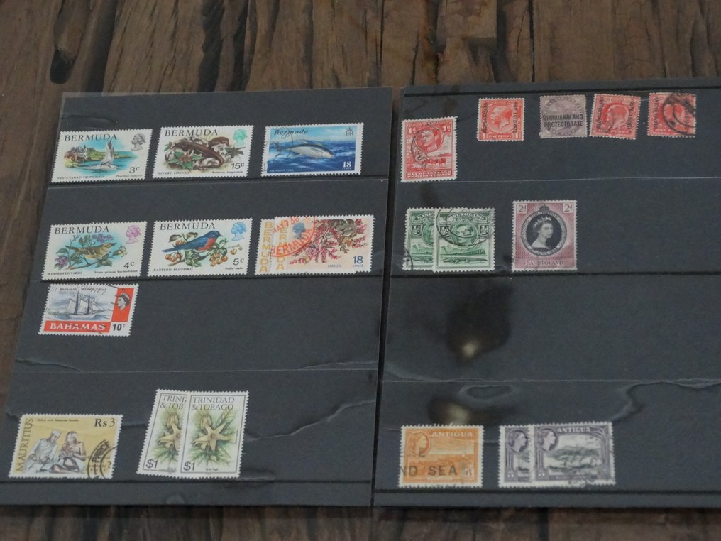 欧洲与亚洲 1900/2020 - 欧洲和全球的调查盒 #2.1