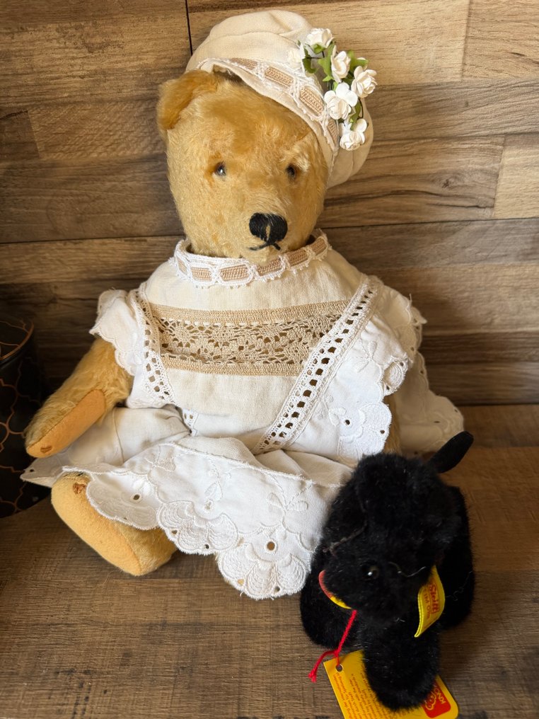 Steiff - 玩具熊 Ancien steiff - 1940-1950 - 德国 #1.0