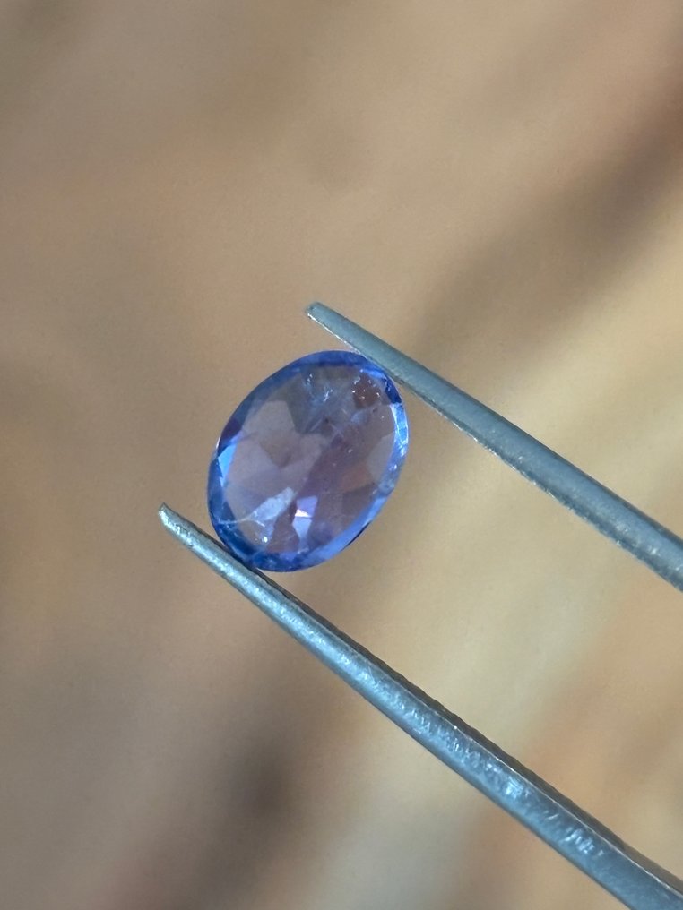 1 pcs Bleu, Violet Tanzanite - 1.52 ct - International Gemological Institute (IGI) #2.1