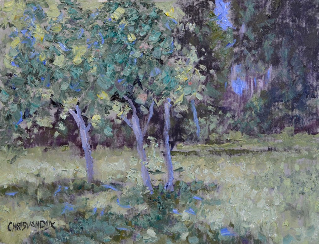 Chris van Dijk (1952) Impressionist - " Sommant " #1.0