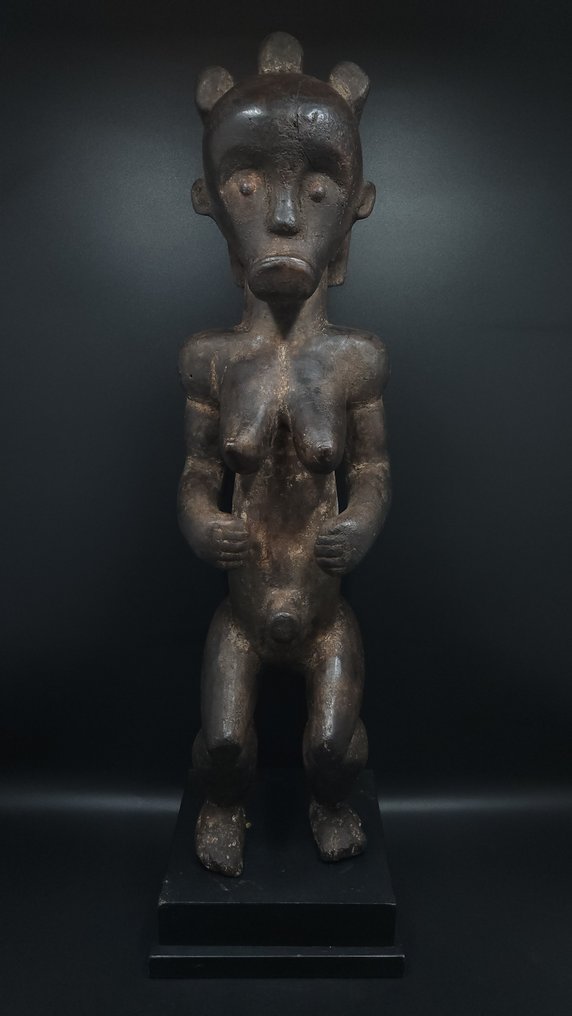 华丽的圣物箱守护者 - Fang - 加蓬 (没有保留价) #1.0